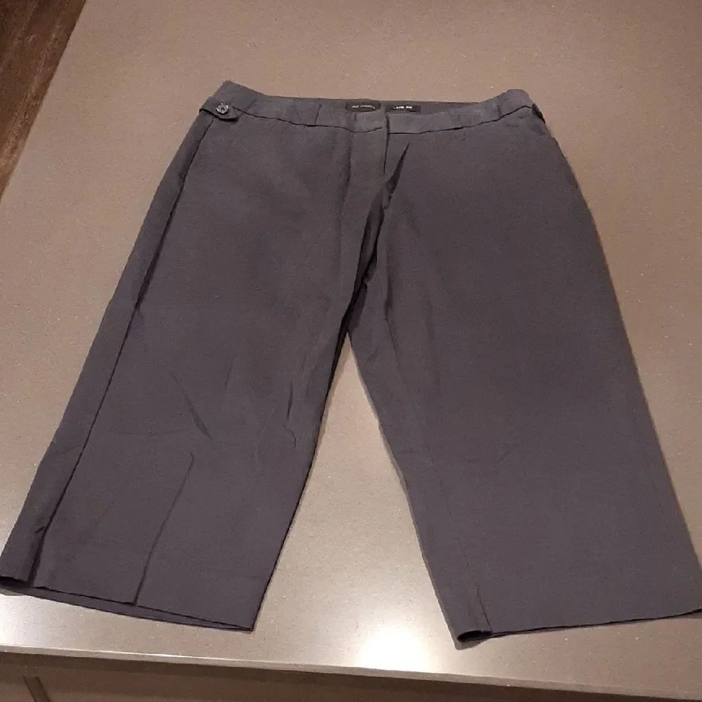 The Limited Lexi Fit Navy Cropped Pants